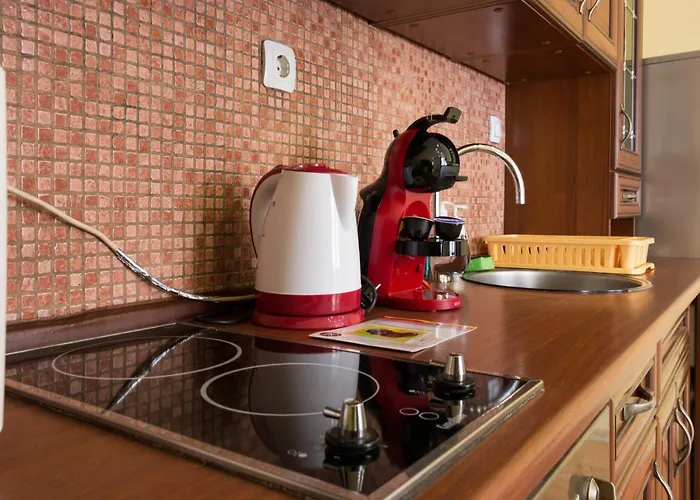 公寓式酒店 Nasini By Flat Mаnager